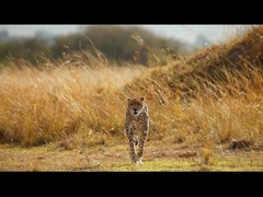 Γυαλιά νυχτερινής όρασης - Φαντάσματα νυχτερινής όρασης 5K για ενήλικες, 5000mAh επαναφορτιζόμενο υπέρυθρο φακό