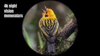 Μονόφθαλμο νυχτερινής όρασης 4K υψηλής ποιότητας