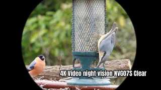 Νυχτερινή όραση βίντεο 4K NVG07S Clear Observe birds