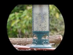 Μονόφθαλμο 4K Video Mini91 Night Vision