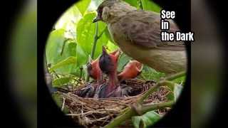 Παρατήρηση Hondigi Night Vision Goggles